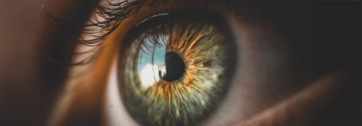 FC – Myopia/Nearsightedness Treatment at Dau Family Eye Care